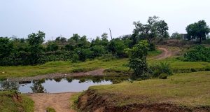 “आधी पूल बांधा, मगच इतर विकासकामे करा” – टाकळी (भं), हेटी-सुरला व भदी-पिंपळा येथील शेतकऱ्यांची मागणी