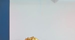 पंचमुखी हनुमान धाम परिसर रंगारी में शनिदेव मंदिर में 16 तारीख को शनिदेव जन्मोत्सव