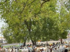 मोहगांव बैल बाज़ार में ठेकेदार की अवैध वसूली को विधायक चौरे ने कराया बंद।