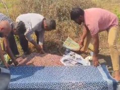 कळमेश्वर पोलीस स्टेशन हद्दीत डोरली येथे अपघातात महिलेचा मृत्यू