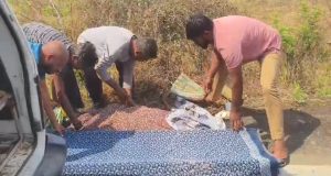 कळमेश्वर पोलीस स्टेशन हद्दीत डोरली येथे अपघातात महिलेचा मृत्यू