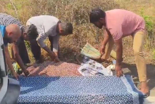 कळमेश्वर पोलीस स्टेशन हद्दीत डोरली येथे अपघातात महिलेचा मृत्यू